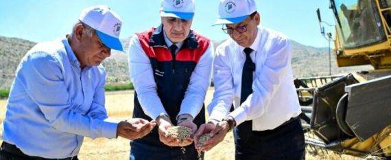 HASADI YAPILAN ARPALAR, ÇİFTÇİLERE ÜCRETSİZ DAĞITILACAK!