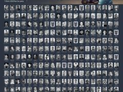 TİMBİR: Gazze’de 238 Gazetecinin Öldürülmesi Açık Bir Savaş Suçudur!