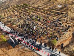 DEPREM ŞEHİTLERİ HATIRA ORMANI YENİLENİYOR
