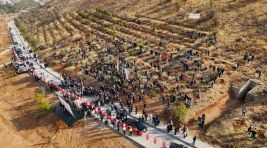 DEPREM ŞEHİTLERİ HATIRA ORMANI YENİLENİYOR