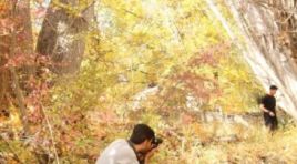 “Foto Kültür” Kursu Kapsamında Fotoğrafçılar Darende İlçesini Fotoğrafladı