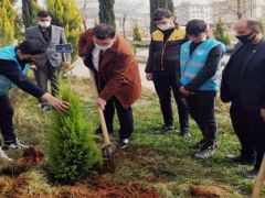 Kilis Ülkü Ocakları, şehit Çakıroğlu anısına fidan dikti