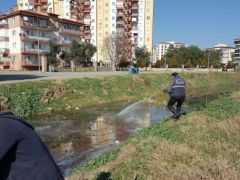 Nazilli’de haşereyle mücadele başladı