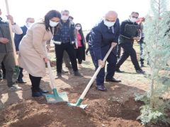 Mardin’de Mercan Hatıra Ormanı’nda findanlar toprakla buluştu