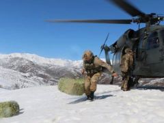 Askeri helikopter bu kez yaban hayvanları için havalandı