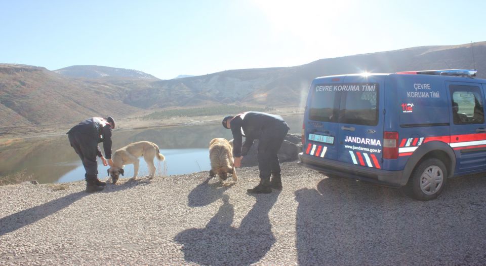 Aksaray Jandarma’dan can dostlara yardım