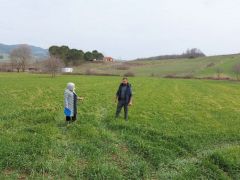 Kocaeli’de tıbbi ve aromatik bitki yetiştiriciliğine yoğun ilgi