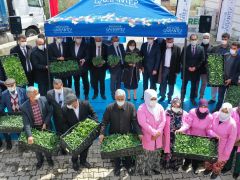 Gaziantep çiftçisine dev fide desteği