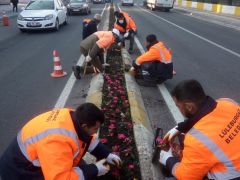 Lüleburgaz’a bahar geldi