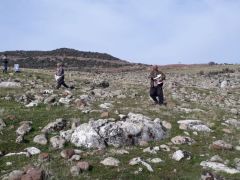 Kilis meralarında gübreleme uygulaması