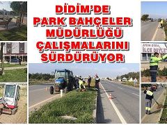 Didim’de Park Bahçeler Müdürlüğü çalışmalarını sürdürüyor