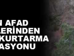 Aydın’da mahsur kalan keçi kurtarıldı