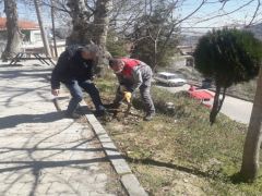 Buldan Belediyesi’nden ağaçlandırma çalışmaları